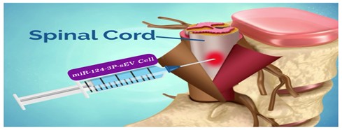 LamiStem stem cell application